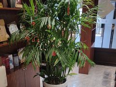 -俏东方·海味水饺·青岛菜(崂山店)