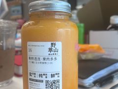 -野萃山·潮汕厚果汁(十亩地店)