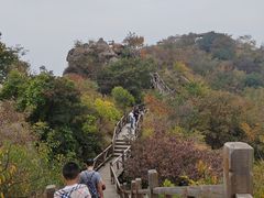 -大岭沟猕猴桃谷风景区