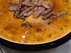 鸡蛋羹-陈傻子餐厅(世纪都会店)