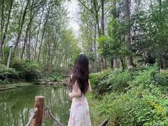 -合肥滨湖国家森林公园