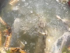 -小板凳(四公里店)