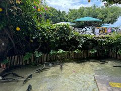 -大理老字号·舟渔的鱼野生菌海景餐厅(双廊店)