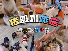 -猪盟咖啡店(玖洲道店)