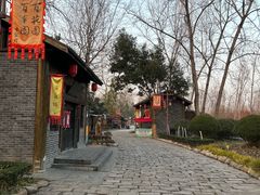 -合肥滨湖国家森林公园