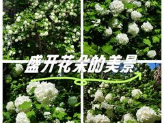 -太阳宫公园