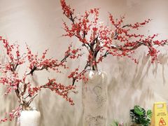 -鸽子窝(万丰路店)