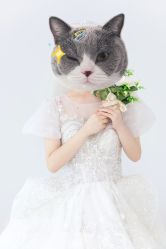 点击看大图 -金夫人婚纱摄影(总店)