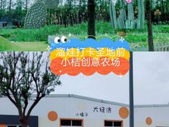 -前小桔亲子创意农场·草莓采摘·露营烧烤