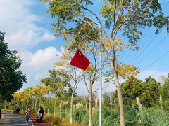 -上海长兴岛郊野公园