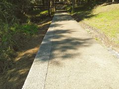 -群力丁香公园
