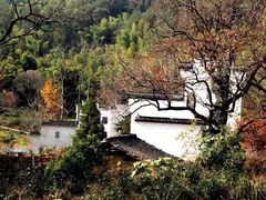 -塔川景区