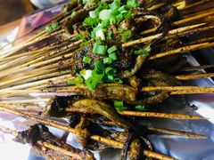 -晓靖轩烧烤(沙河风情店)
