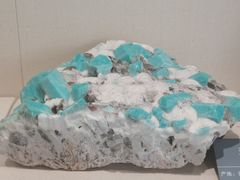 -安徽省地质博物馆