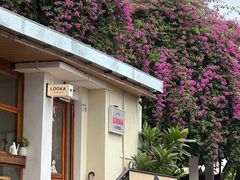 -LOOKA COFFEE(大鹏所城店)