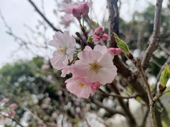-南溪山景区