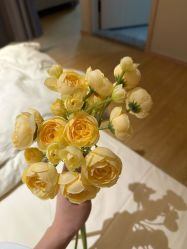 -瑞安母贝安月子会所