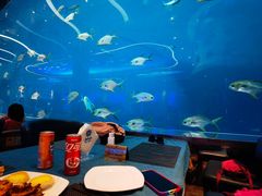 -瑞德姆美人鱼海底演艺主题餐厅(亚龙湾店)