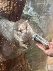 -Zoolung Zoolung动物主题公园(海信广场店)