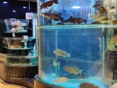 水产区-稻香酒家·33年老字号·港式粤菜(富邦中心店)