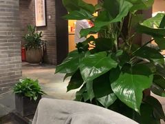 -青藤茶馆(南山路店)