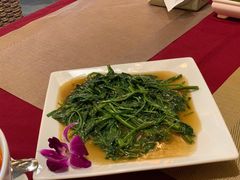 空心菜-Daddy Nimman Chiang Mai