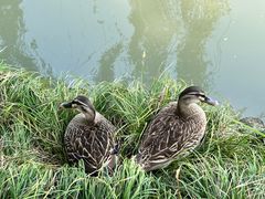 -东关历史文化旅游区-东门遗址