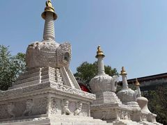 -西安市广仁寺