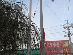 -哈密回王府景区