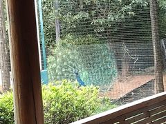 -柴米油盐(土菜院子店)
