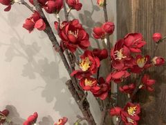 -MAX伯爵沉浸式超级游戏体验馆·实景桌游·剧本杀(小时代店)