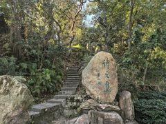 -江心屿景区