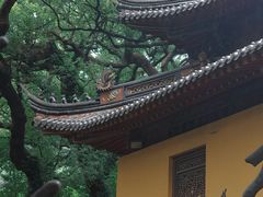 -普陀山风景名胜区-法雨禅寺