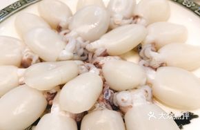 Fresh Baby Squid