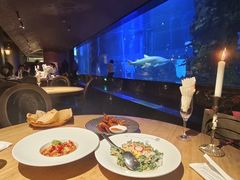 -鲨鱼餐厅.海景川粤餐厅(重庆天地店)