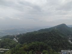-大金鹰园