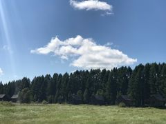 -塞罕坝国家级自然保护区