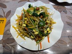 小拌菜-韩师傅老大同刀削面(北苑路店)