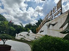 -西双版纳原始森林公园