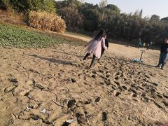 -艾溪湖湿地公园