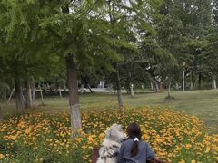-榆扉·高空City View府邸(广州天河珠江新城正佳广场旗舰店)