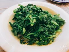 -老品芳