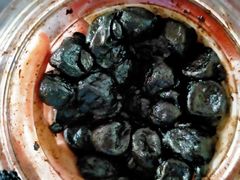 -古城陈仁堂(牌坊街店)