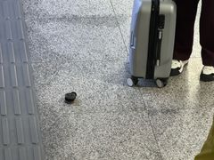 -知春路(地铁站)