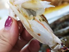 -长平肥姐白粥·海鲜打冷