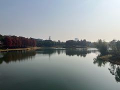 -巡塘古镇