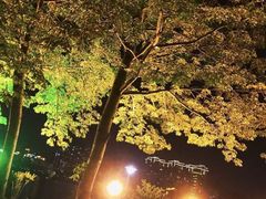 -江滨壹号艺文空间复合餐厅(闽江大道店)