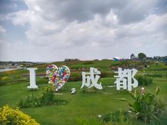 -空港花田景区