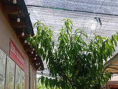 -玫瑰庄园·自助烧烤·烤全羊·团建拓展(龙泉山店)