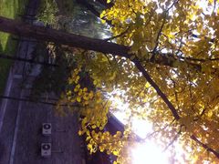 iphone_upload_pic-迎泽公园